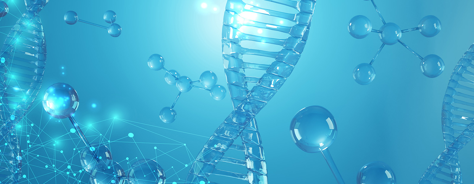 化学生命工学部