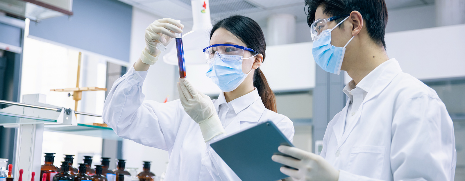 化学生命工学部