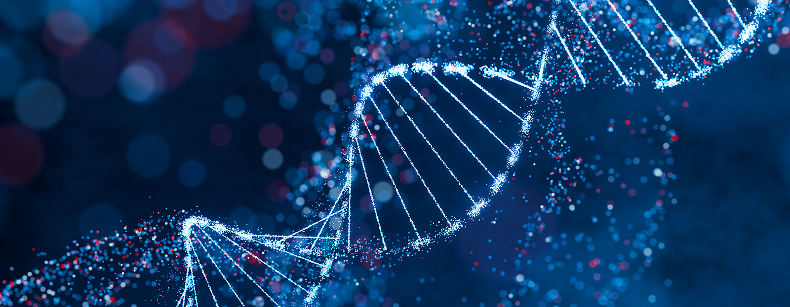 化学生命工学部