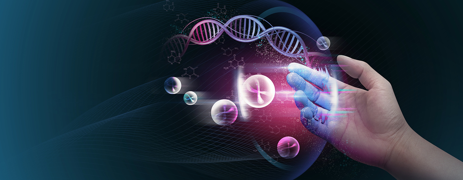 化学生命工学部