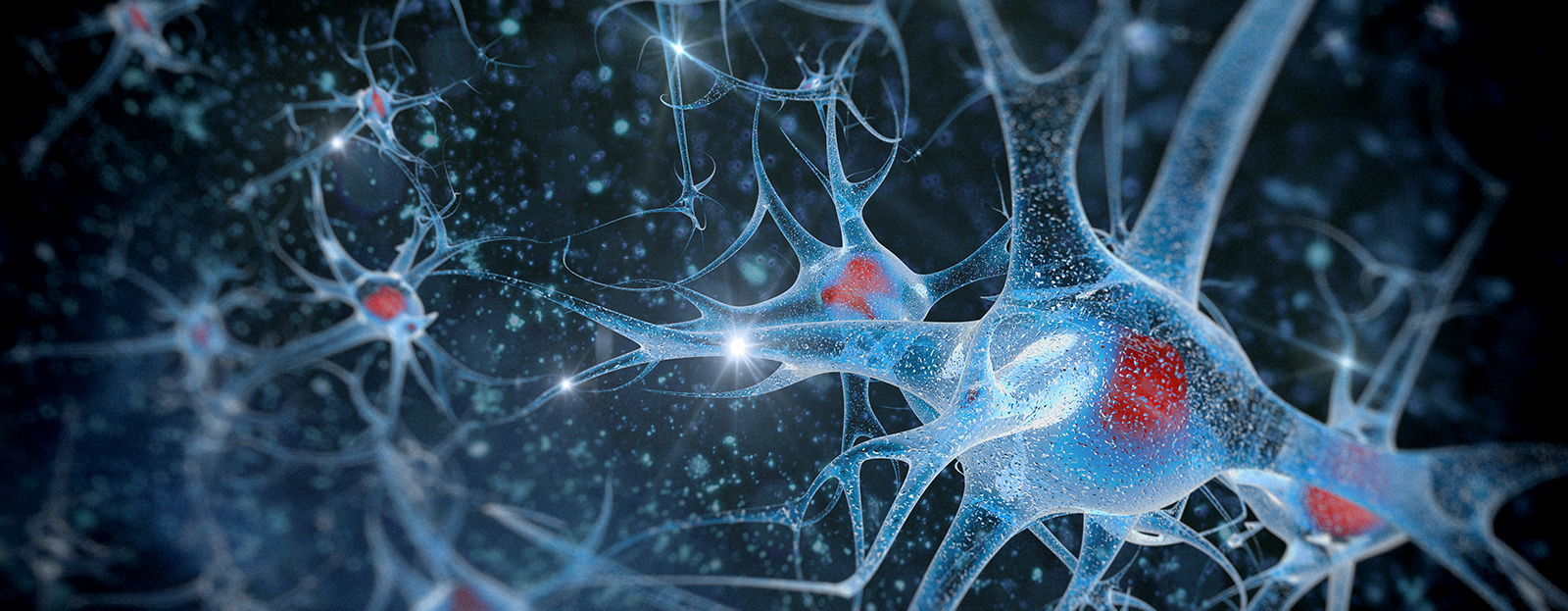 化学生命工学部