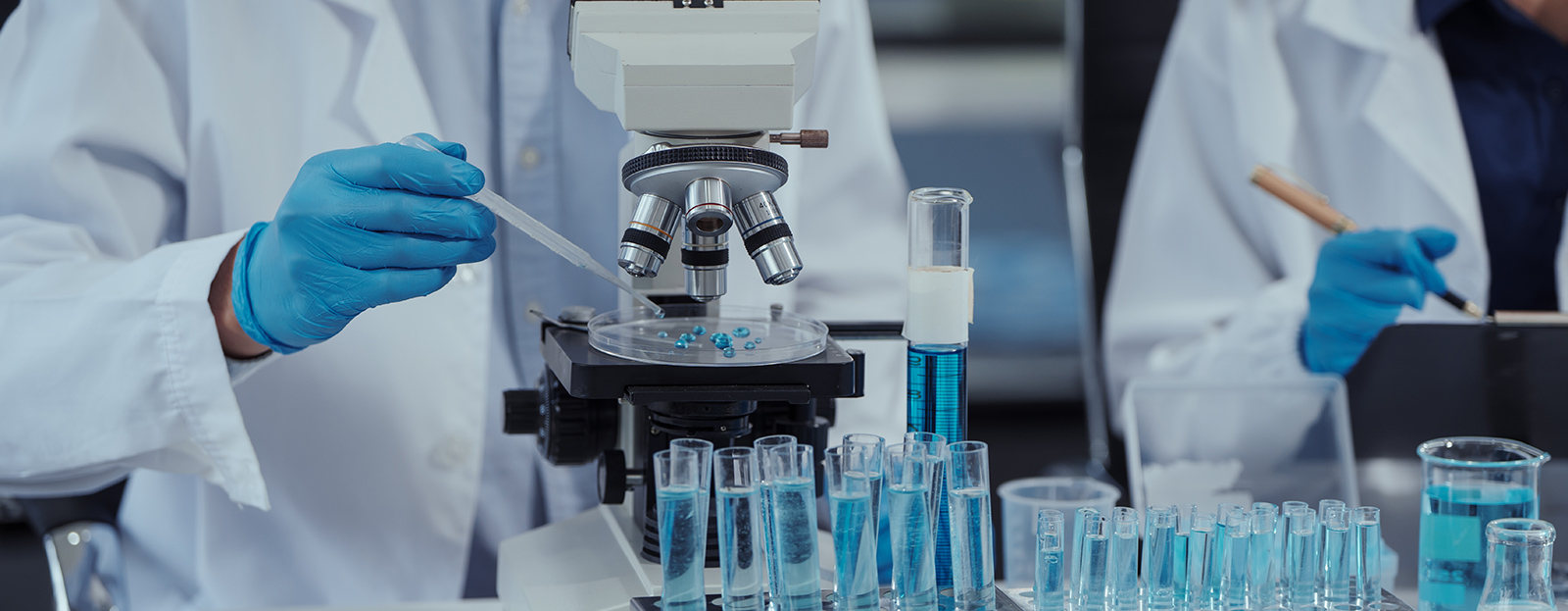 環境都市工学部