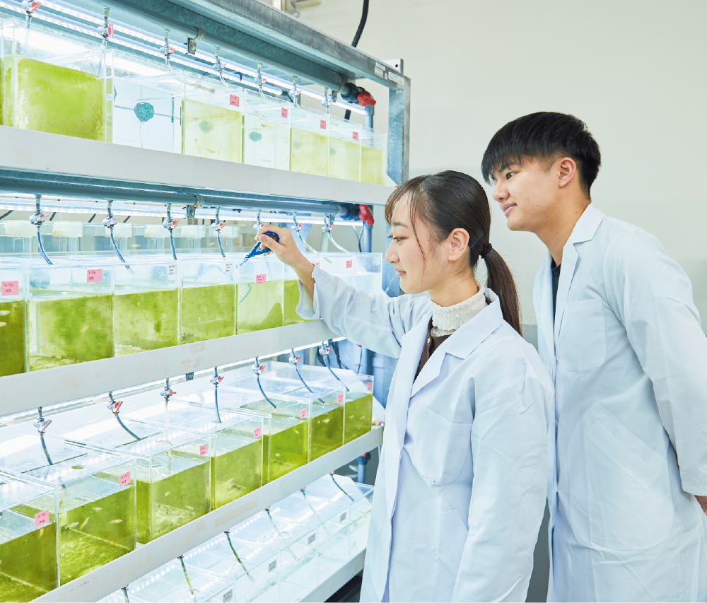 生命・生物工学科